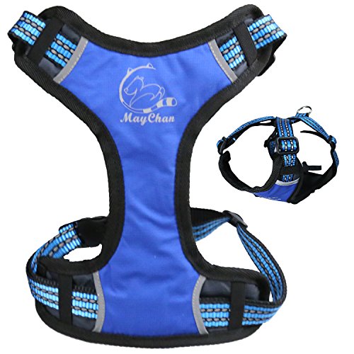 MNC Pet X-Sport - Arnés de Malla 3D, pequeño, Color Azul