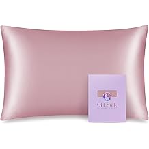 OLESILK 100% Mulberry Silk Toddler Pillowcase for Hair and Skin, Both Sides 19 Momme Pure Natural Silk Travel Pillow Cases with Hidden Zipper, 13"x 18", Light Plum