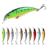 LURESMEOW Jerk Baits for Bass Fishing, Jerkbait Fishing Lures, Minnow Lures Jerk Bait for Freshwater/Saltwater Fishing Lures for Trout Pike,10pcs with Box