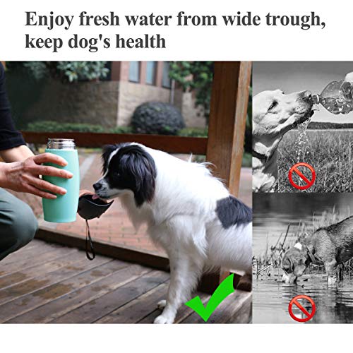 VIVAGLORY Pawhike Hundetrinkflasche, Hunde Trinkflasche für Unterwegs, Hundetrinkflasche, Edelstahl & Tragbare, 750ml, Blau