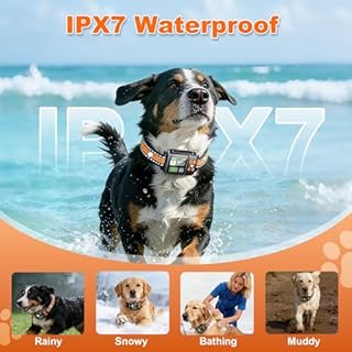 GPS Wireless Dog Fence System, Electric Dog Fence Using GPS Electric Satellite Technology, IPX7 Waterproof Rechargeable Design, GPS Dog Collar Has 2 Modes Circular and Free-Form Fence