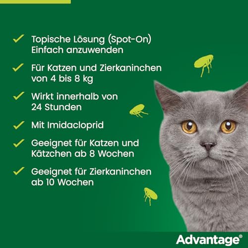 Elanco Advantage Spot-On 80 für große Katzen und Zierkaninchen ab 4 bis 8 kg, wirksamer Schutz vor Flöhen und Flohbefall bis 4 Wochen, einfache Spot-on-Anwendung, 4 Pipetten mit 0,8 ml Lösung