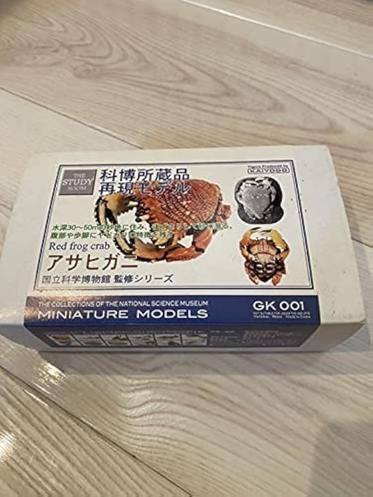 アサヒガニ 国立科学博物館監修 科博所蔵品再現モデル 科博所蔵品再現モデル