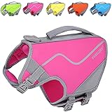 Vivaglory Small Dog Life Vest, New Neoprene Sports Style Life Jacket for Dogs with Strong Grab Handle for Emergency Rescue, Pink XS