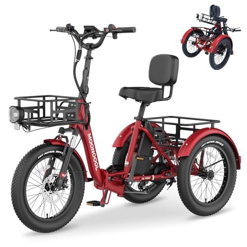 NAIZEA Electric Bike for Adults - 750W(Peak 1100W), 48V 20AH Removable Battery,25MPH Ebike, 20