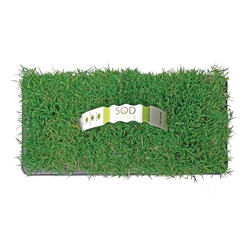 SodPods Bermuda Grass Plugs for Lawn Repair 3 x 3 Each (32-Count) Cannot Ship to California/Arizona