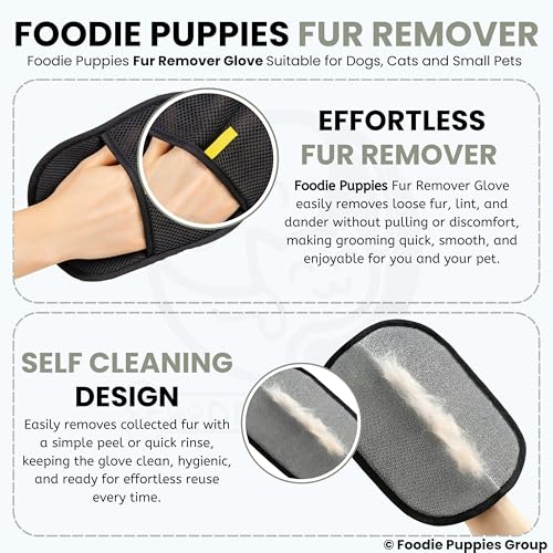 Image of Foodie Puppies Pet Hair Removal Glove for Dogs & Cats (Fur Remover Mitt) | Washable & Reusable Electrostatic Hair Catcher for Clothes, Car, Carpet, Bed & Furniture | Removes Loose Hair (23.5 x 17.5cm)