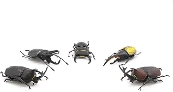 久保書店　インセクト・ハンター 昆童虫　初版　激レア むし社 on X: 