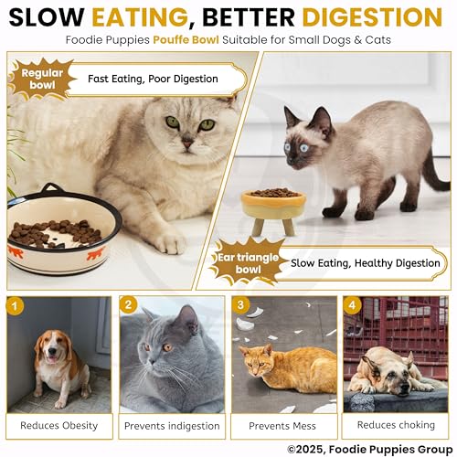 Image of Foodie Puppies Cat Food and Water Feeder - 250ml (Pouffe Bowl) | Durable and Anti Vomiting Cat Bowl for Persian Cat Prevent Tipping Over | Elevated Feeder for Cats and Small Dogs