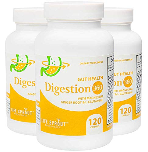 Digestion 360 with Ginger Root, L-Glutamine, Bitter Artichoke and Magnesium for Digestion, Gut Health, Bloating and Bowel Movement Regulation - 60 Capsules Per Bottles