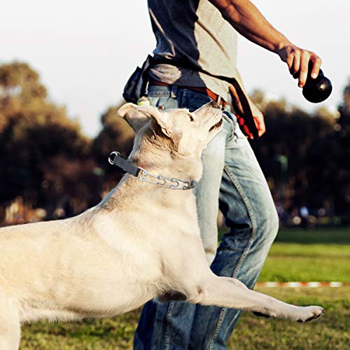 Cbbpet Dog Prong Collar, Adjustable Dog Training Collar With Quick Release Buckle For Small Medium Large Dogs #TOP6