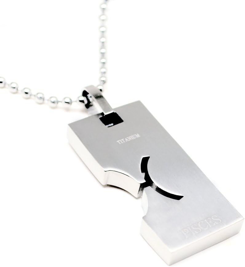 Accents Kingdom Constellation Jewelry Horoscope Charm Titanium Zodiac Sign Pendant Necklace