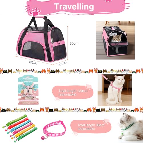 36-teiliges Premium-Kätzchen-Starter-Set für Indoor-Katzen – komplettes Katzen-Essentials-Set mit Edelstahl-Katzentoilette, Tragetasche, Bett, Spielzeug, Matte und Zubehör