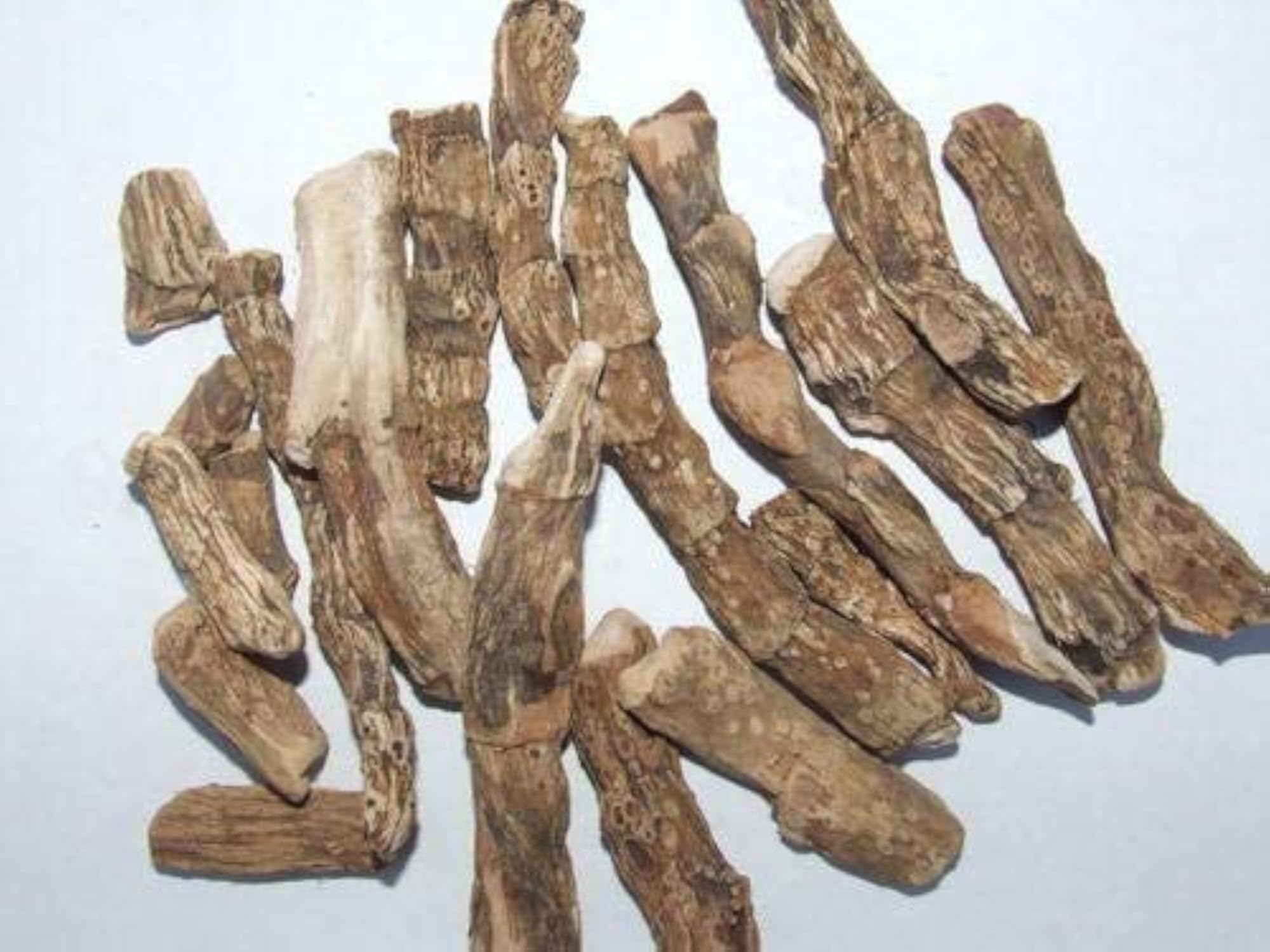 Acorus Calamus - Sweet Flag Root - 100 Grams