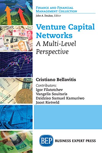 Venture Capital Networks: A Multi-Level Perspective (English Edition)