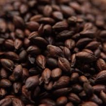 Weyermann Roasted Barley Malt 1 lb
