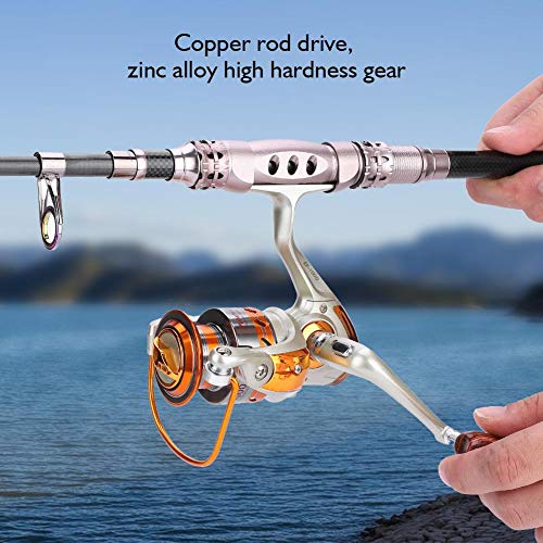 Fishing Reel, 12Bb Saltwater Spinning Wheel Ocean Sea Boat Ice Fishing Reel Trolling Metal Ef500-9000(Ef2000) #TOP5