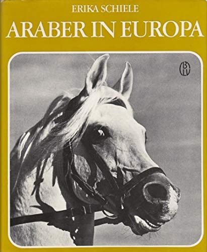 Orlow-Traber