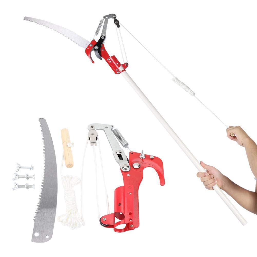 Ciglow Extendable Tree Trimmer Pole Saw 