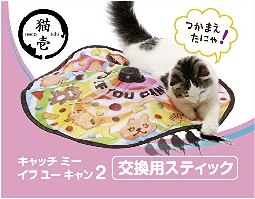 最終値下げ　キャッチミーイフユーキャン　フライヤー　2種類 キャッチ ミー イフユーキャン2 （キャッチミーイフユーキャン