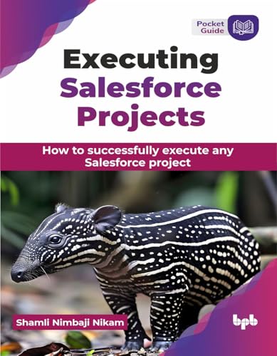 Executing Salesforce Projects: How to successfully execute any Salesforce project (English Edition)