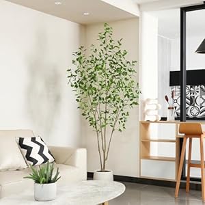 Artificialficustree7ftwithwhiteplantertallfakeficustreeforhomedecorindoorfauxficusfloorplantwithgreenfakemossforofficelivingroom Urban Country Home Decor Artificial ficus tree 7ft with white planter tall fake ficus tree for home decor indoor faux ficus floor plant with green fake moss for office living room urban country home decor