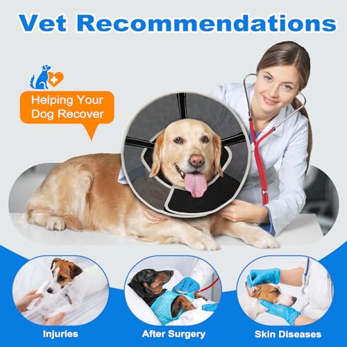 Image of Breathable Mesh Dog Cone Collar for Surgery, Soft Elizabethan Recovery Alternative to Stop Licking,Pet Neck Collar for Large Medium Small Breeds, L