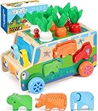 COOLJOYA Juguetes Niños 1 Año Montessori | Juguetes Montessori Madera Regalo...