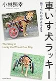 車いす犬ラッキー 捨てられた命と生きる