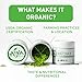 Aiya Organic Ceremonial Grade Matcha Powder - Premium Matcha Ceremonial Grade, Vibrant Jade Green Color, Mild Natural Sweetness, Japanese Tea Ceremonies - 30g Tin