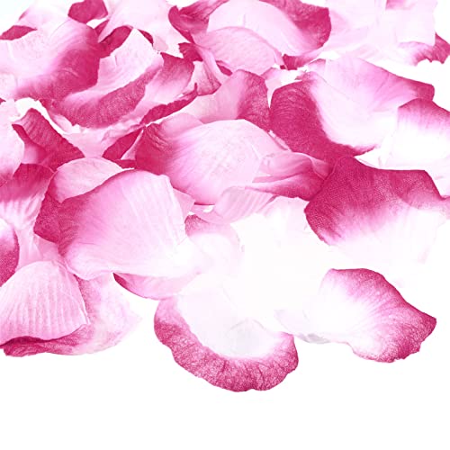 PATIKIL Artificial Rose Petals