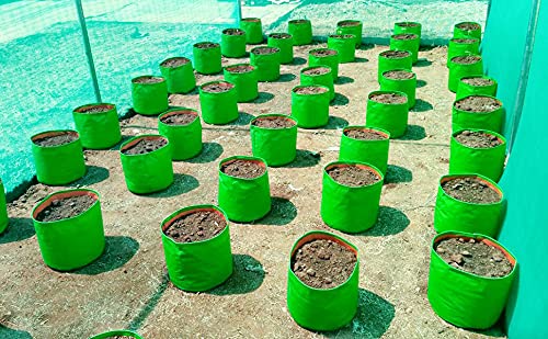 BIO BLOOMS AGRO INDIA PRIVATE LIMITED Terrace Garden Vegetable Growing Kit - 20 Pcs, Spinach Grow Bags- 10pcs, Shadenet 10 X10 Feet