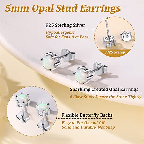 925 Sterling Silver Stud Earrings for Women, Heart/Round Birthstone Earrings Birthday Jewelry for Women Wife Daughter (with Gift Box)4