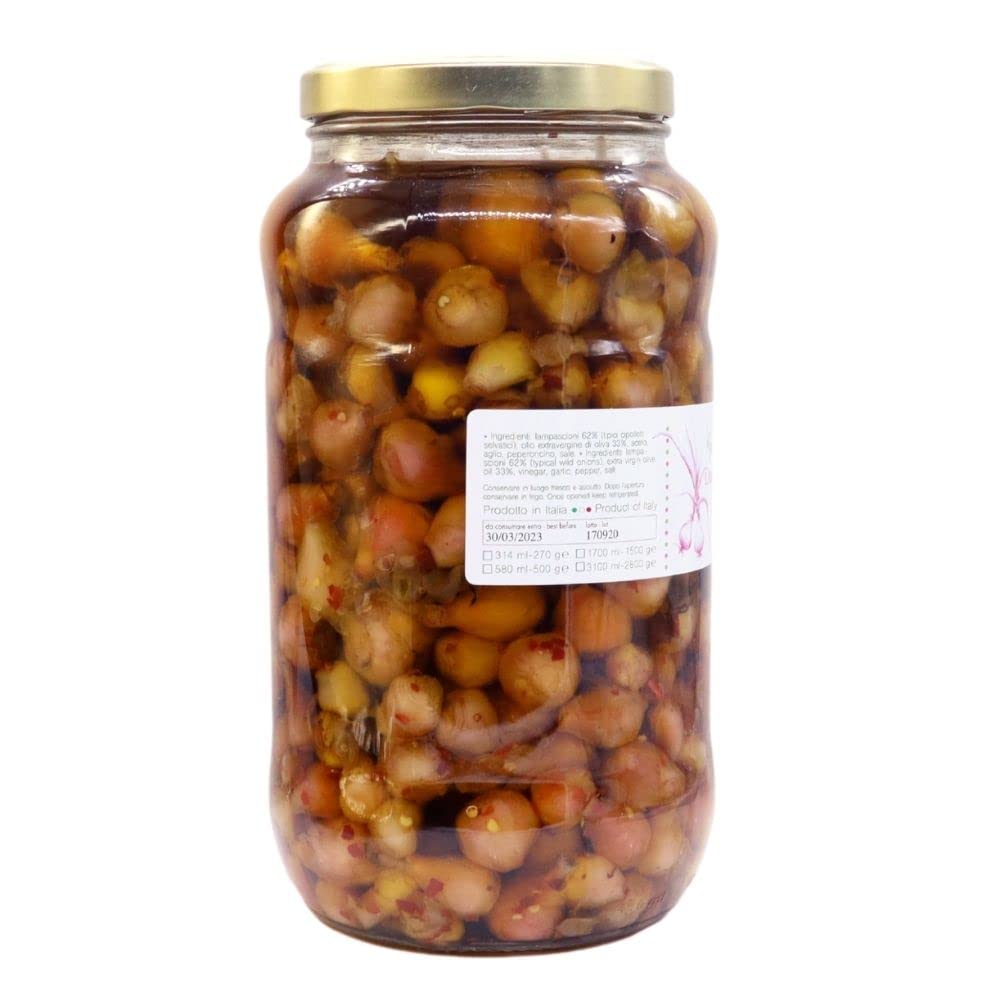Voglia Di Puglia Lampascioni Sottolio In Olio Extravergine 2800 Grammi