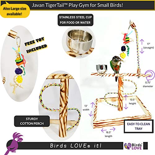 Birds LOVE Bird Play Gym Tabletop w Cup, Toy Hanger and Toy, Javan TigerTail Stand - Small - Thumbnail 2