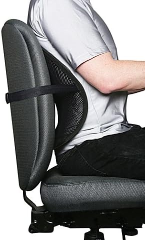 Kiss My Back! Ergonomic Mesh Back Support | Features Adjustable Buckle and Nylon straps that Easily Fits Car Seats, Office, and Kitchen Chairs (1)