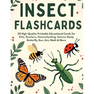 Realistic Insect Flashcards for Kids