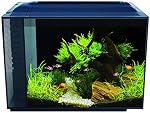 Fluval Spec Kit Aquarium – noir - 60 L (16 US gal)