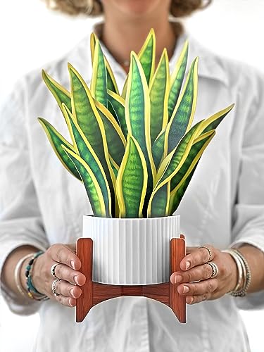 Freshcut Paper Pop Up Cards, Snake Plant, 12 Inch Life Sized Paper House Plants 3D Popup Greeting Cards, Birthday Card, Thank You Card, Blank Notecard & Envelope