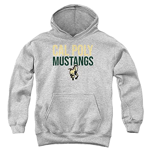 California Polytechnic State University Official Stacked Youth Kids Boy/Girls Pull-Over Hoodie Sweatshirt