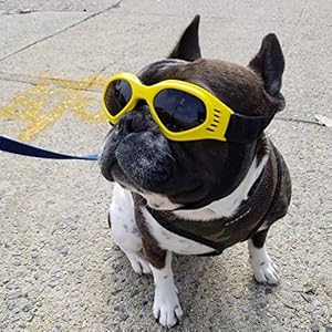   Enjoying-PetDog-Puppy-UV-Goggles-Sunglasses-Waterproof-Protection-Sun-Glasses-for-Dog-Yellow