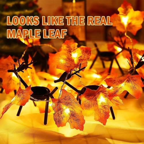 Image of Xenith Artificial Maple Leaf LED String Light 14 LEDs High Brightness AC Plug Ideal for Bedroom Garden Birthday Wedding Party Backdrop Baby Shower Diwali Home (Orange, 3.5 Meter)