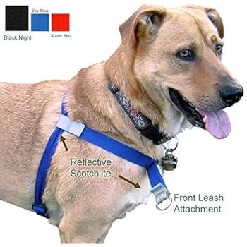 costco cat litter in green container