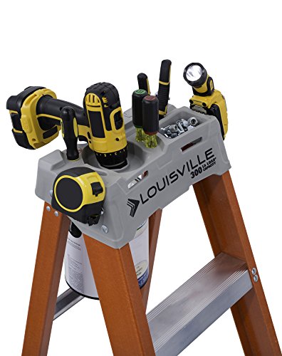 Louisville Ladder 12-Foot Fiberglass Ladder, 300-Pound Capacity, Type 1A, Fs1512 & Shepherd Hardware 8088E Heavy Duty Steel Garage Storage/Assorted Utility Hooks, 6 Pack, Black #TOP3