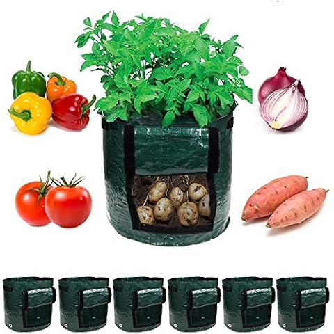 Garden4Ever Potato Planter Bags 6-Pack 10 Gallon Grow Bags Aeration Tomato Plant Pots Container with Flap and Handles Cover