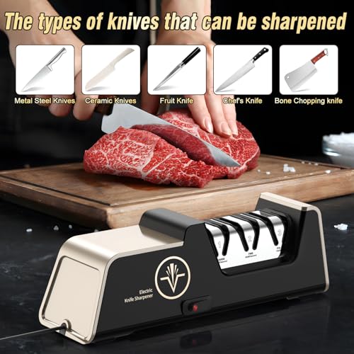 Image of VIDOME Professional Electric Knife Sharpener, Champagne Gold | 100% Diamond Abrasives, 3-Stage Precision Angle Guides, For Kitchen Straight Edge Knives, For Ceramic Knives