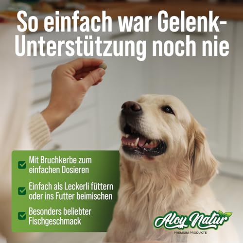 Gelenktabletten Hund | 150 Tabletten reichen für bis zu 10 Monate | hoher Grünlippmuschel Anteil in Vollfett-Qualität, Teufelskralle & MSM | Gelenktabletten für Hunde | stärken die Gelenkfunktion