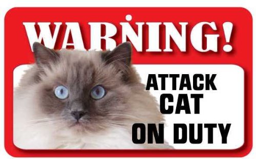 Instant Gifts Dog Signs Ragdoll Cat Pet Sign - Laminated Card