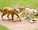 Gemini&Genius Lynx Snow Leopard Toys Set for Kids, Forest Animals Toy Figures, Woodland Animals, Wildlife Figurines, Cake Toppers, Display, Education, Play Toys for Kids Toddlers