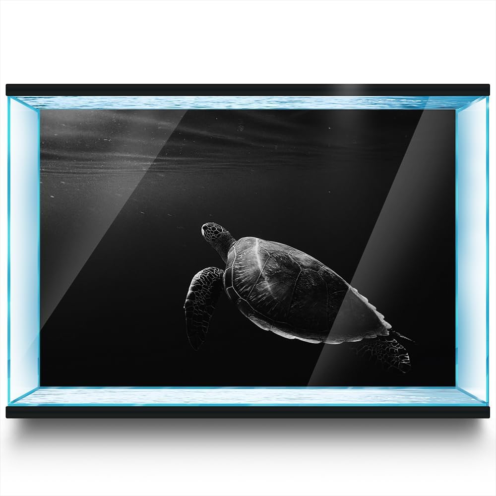 Aquarium Background Stickers - Turtle Water Black Self-Adhesive Fish Tank Reptile Terrarium Decor Poster (80 x 40 cm / (31.4 x 15.7 inches))